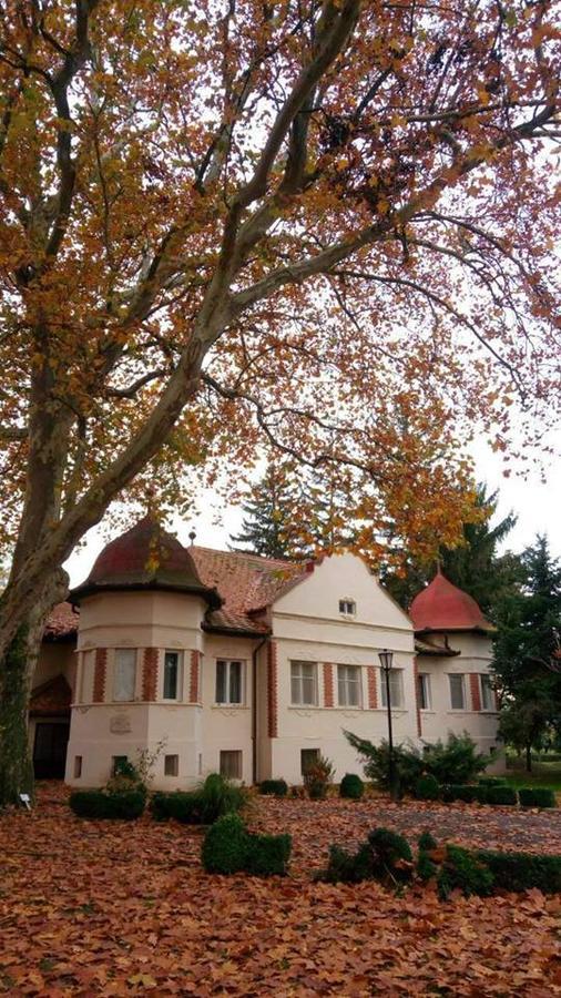 Kastelyszallo Mateszalka Bed & Breakfast Exterior photo